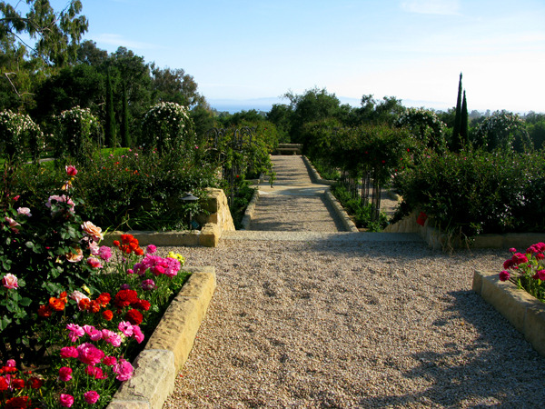 Oprah Winfrey Plants A Rose Garden At Her Montecito Home - Oprah House